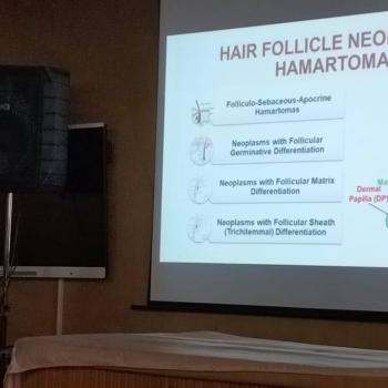 تجربة تعليمية متطورة ترسّخ التميز الأكاديمي بكلية الطب جامعة قناة السويس